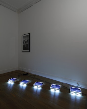 Exhibition view of 'Falência', 2017